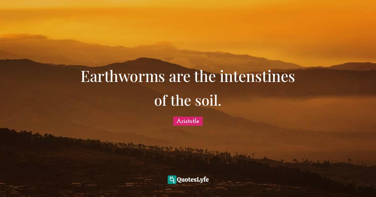 Earthworms are the intenstines of the soil.