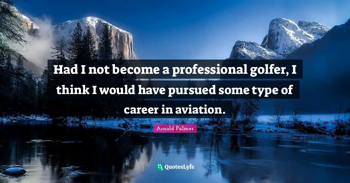 Had I not become a professional golfer, I think I would have pursued some type of career in aviation.