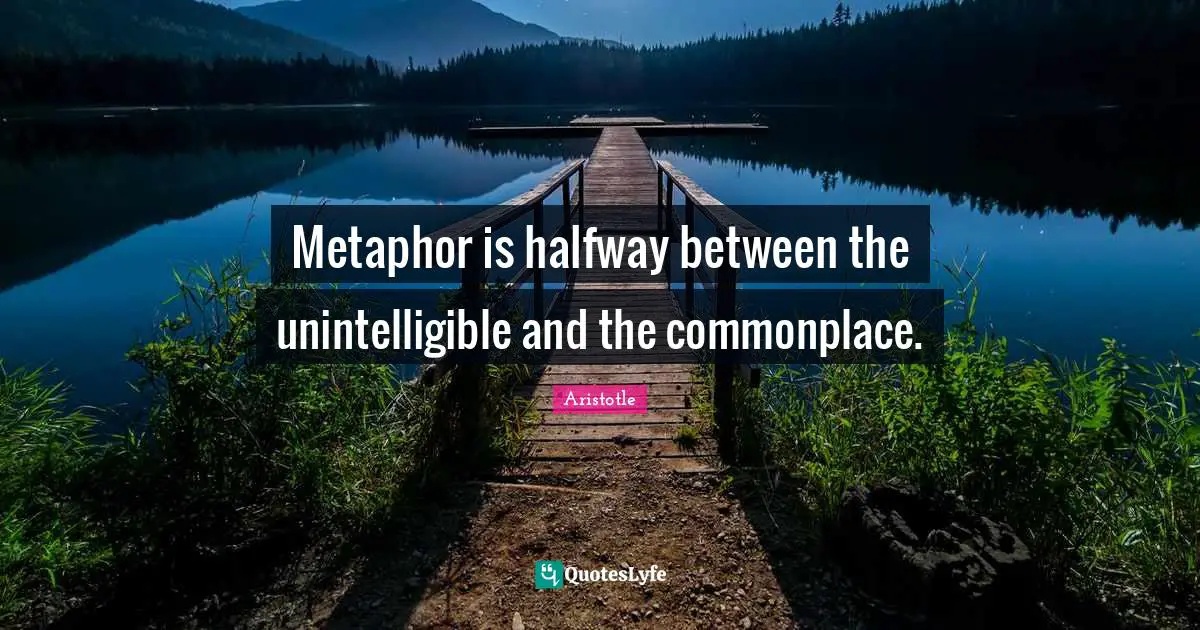 Metaphor is halfway between the unintelligible and the commonplace.