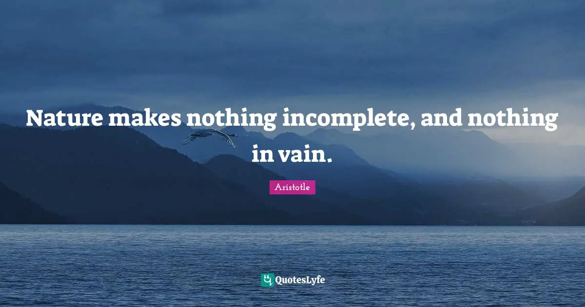 Nature makes nothing incomplete, and nothing in vain.