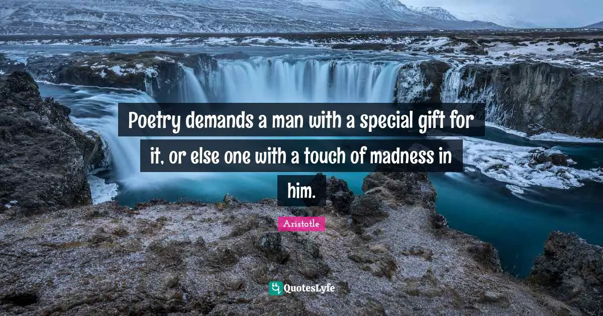 Poetry demands a man with a special gift for it, or else one with a touch of madness in him.