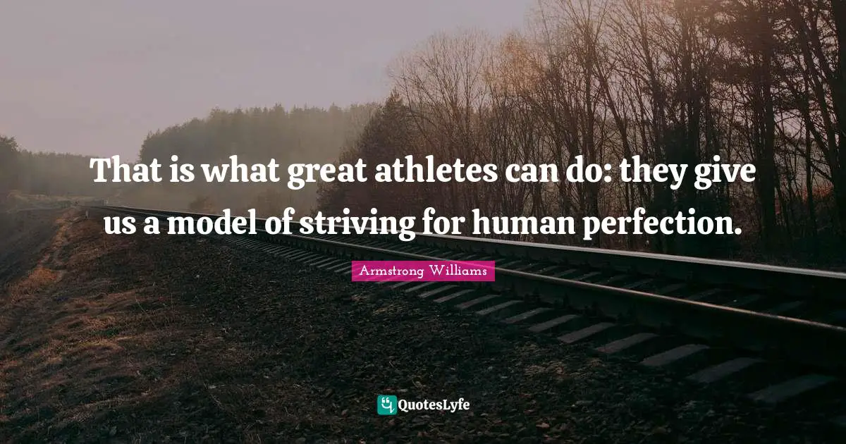 That is what great athletes can do: they give us a model of striving for human perfection.