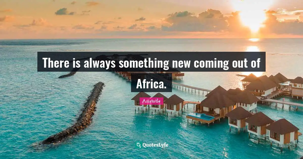 There is always something new coming out of Africa.