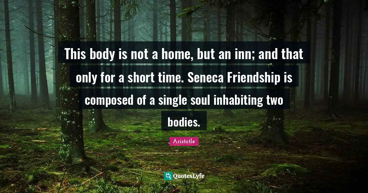 This body is not a home, but an inn; and that only for a short time. Seneca Friendship is composed of a single soul inhabiting two bodies.