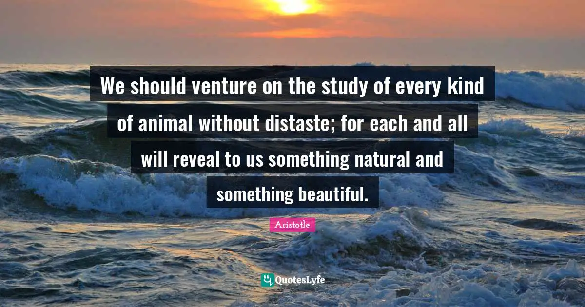 We should venture on the study of every kind of animal without distaste; for each and all will reveal to us something natural and something beautiful.