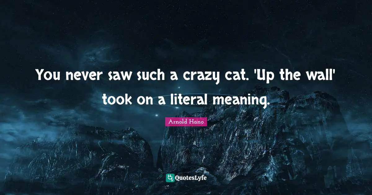 You never saw such a crazy cat. 'Up the wall' took on a literal meaning.