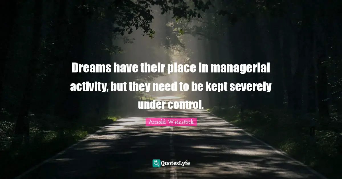 Dreams have their place in managerial activity, but they need to be kept severely under control.
