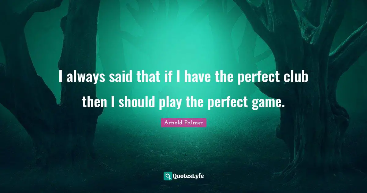 I always said that if I have the perfect club then I should play the perfect game.