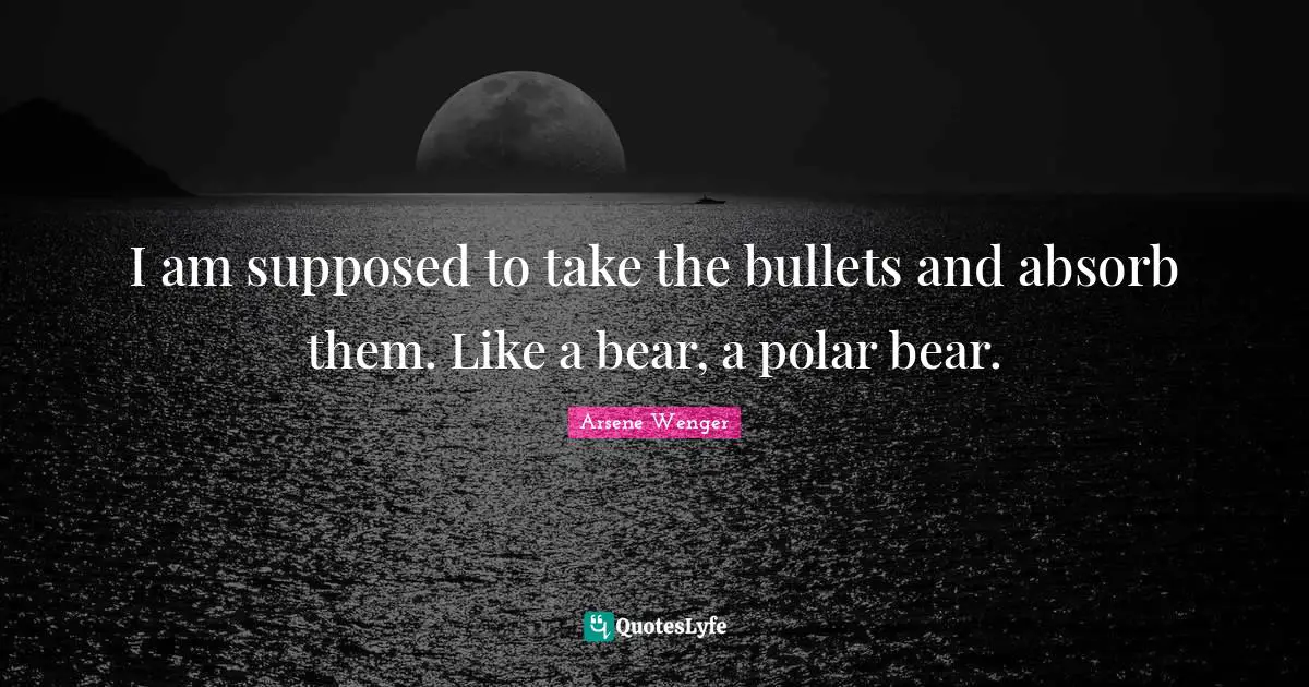 I am supposed to take the bullets and absorb them. Like a bear, a polar bear.