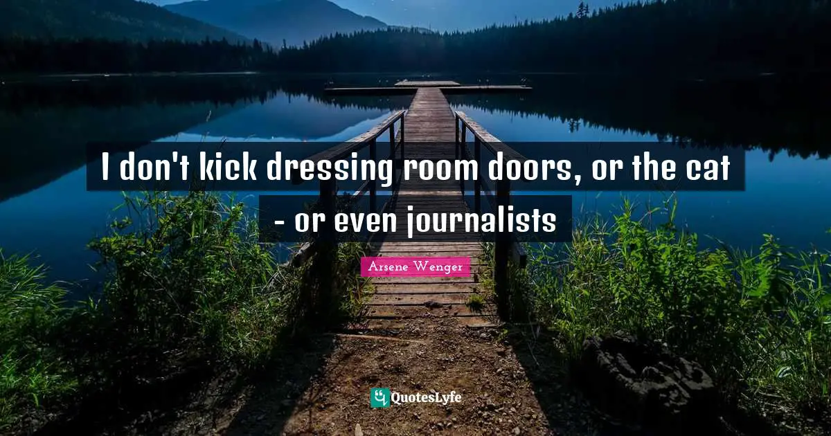 I don't kick dressing room doors, or the cat - or even journalists
