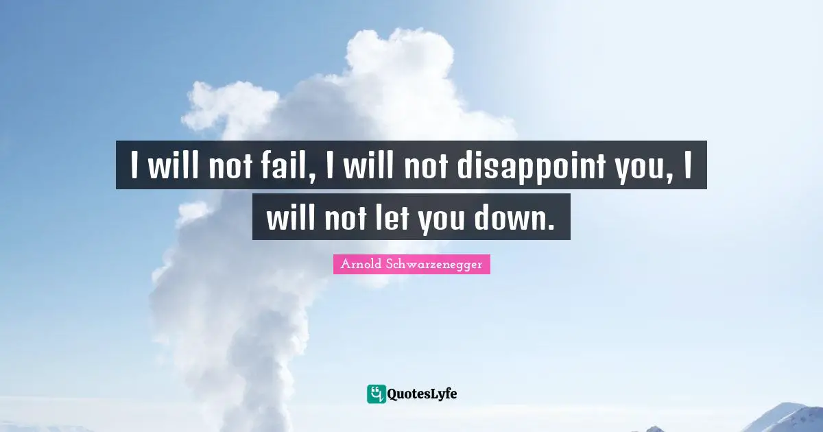 I will not fail, I will not disappoint you, I will not let you down.