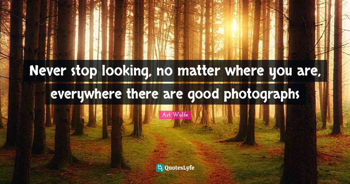 Never stop looking, no matter where you are, everywhere there are good photographs