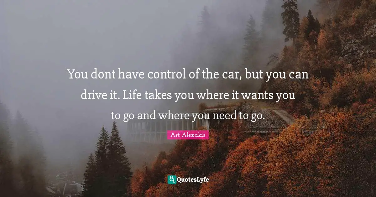 You dont have control of the car, but you can drive it. Life takes you where it wants you to go and where you need to go.