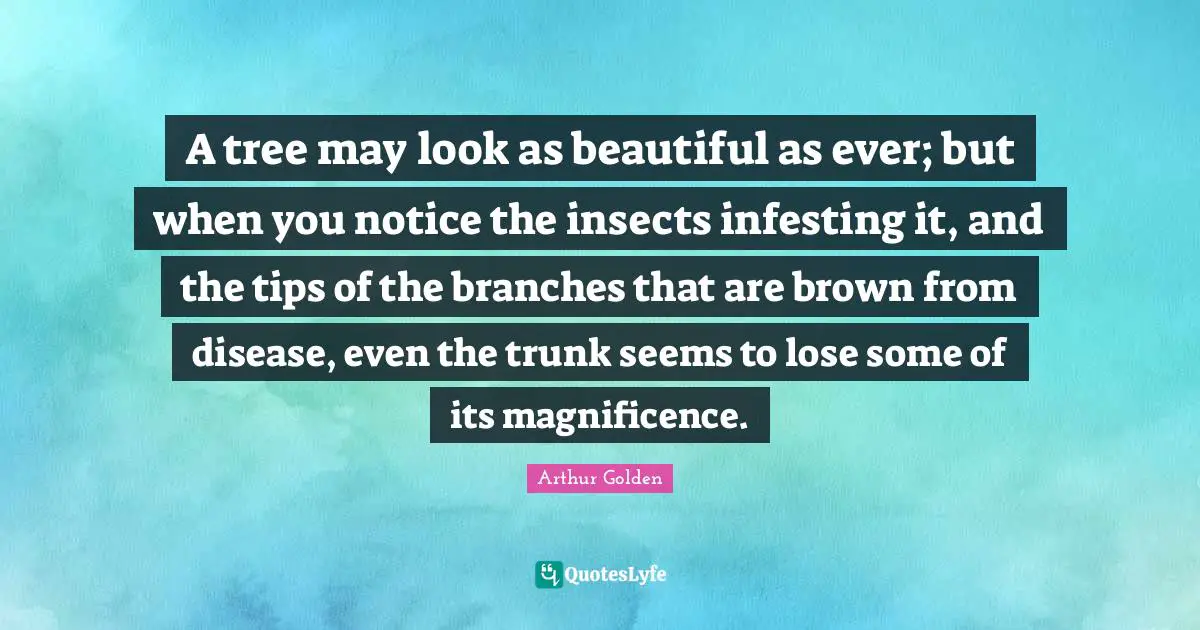 A tree may look as beautiful as ever; but when you notice the insects infesting it, and the tips of the branches that are brown from disease, even the trunk seems to lose some of its magnificence.