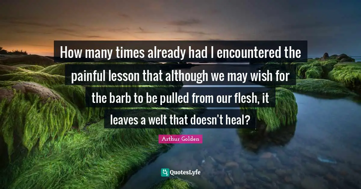 How many times already had I encountered the painful lesson that although we may wish for the barb to be pulled from our flesh, it leaves a welt that doesn't heal?
