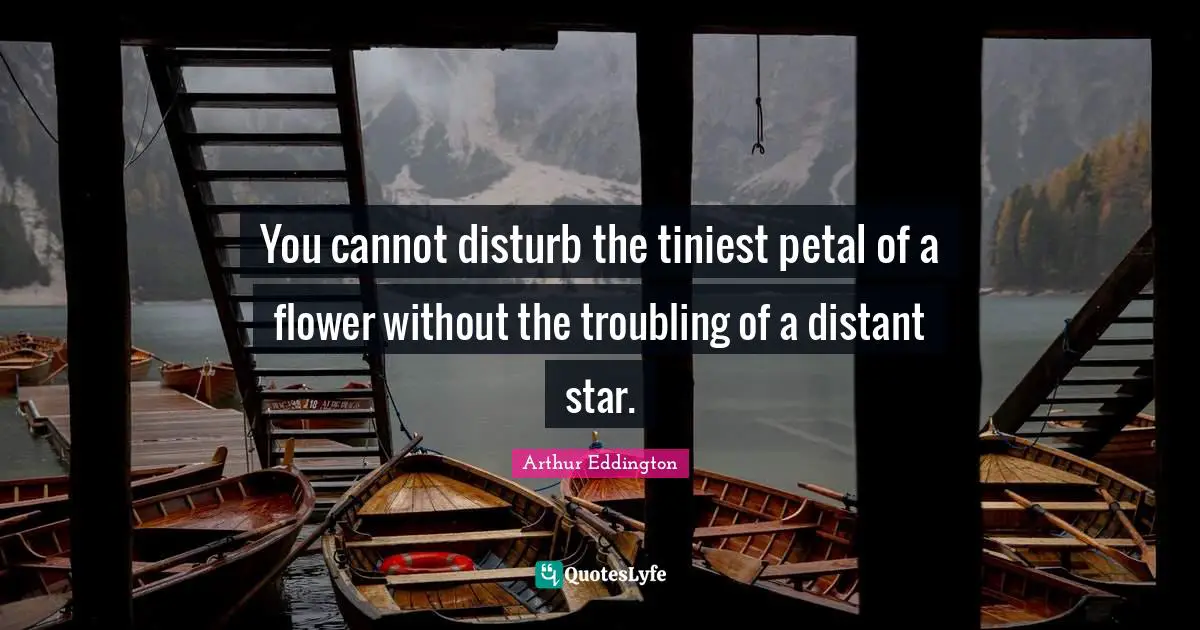 You cannot disturb the tiniest petal of a flower without the troubling of a distant star.