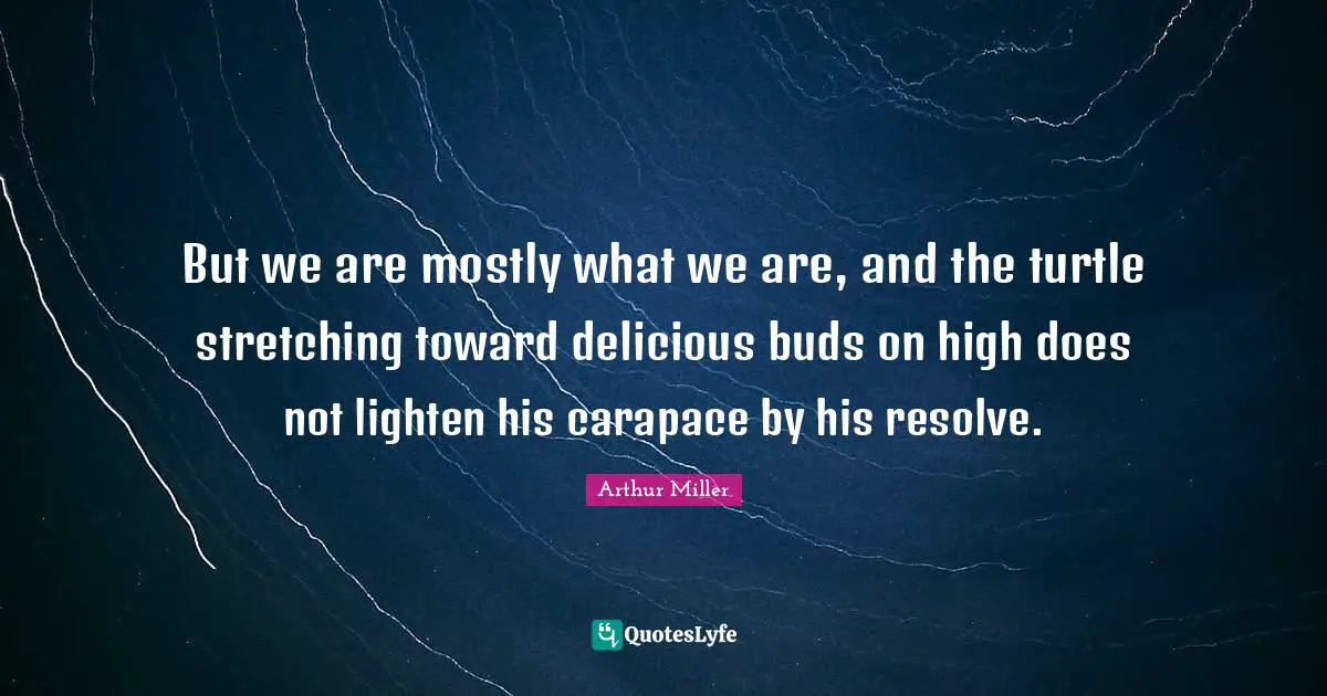 But we are mostly what we are, and the turtle stretching toward delicious buds on high does not lighten his carapace by his resolve.