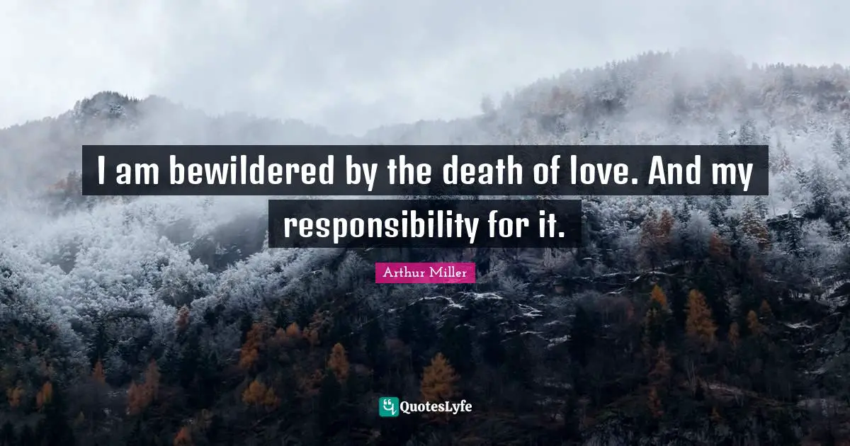 I am bewildered by the death of love. And my responsibility for it.