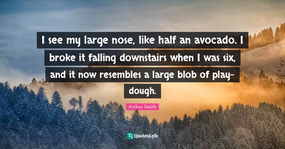 I see my large nose, like half an avocado. I broke it falling downstairs when I was six, and it now resembles a large blob of play-dough.