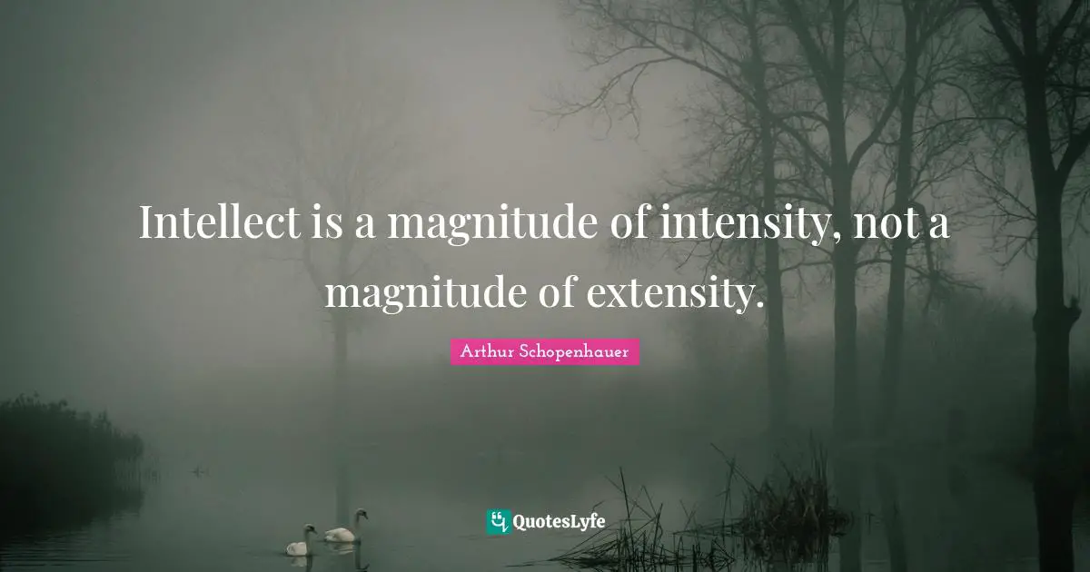 Intellect is a magnitude of intensity, not a magnitude of extensity.