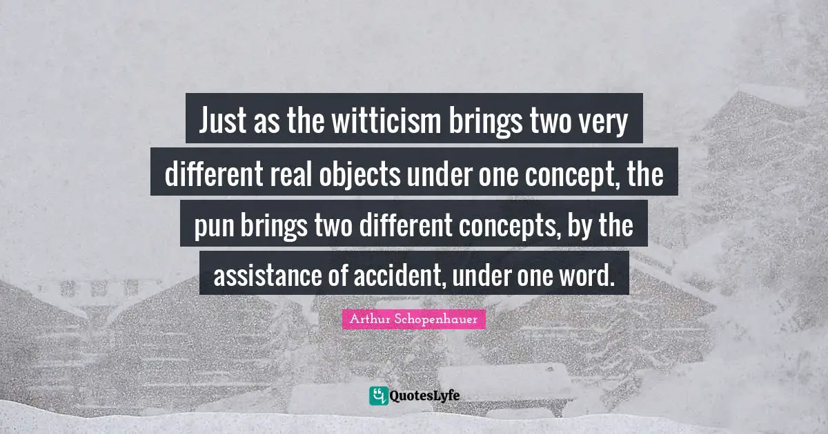 Just as the witticism brings two very different real objects under one concept, the pun brings two different concepts, by the assistance of accident, under one word.