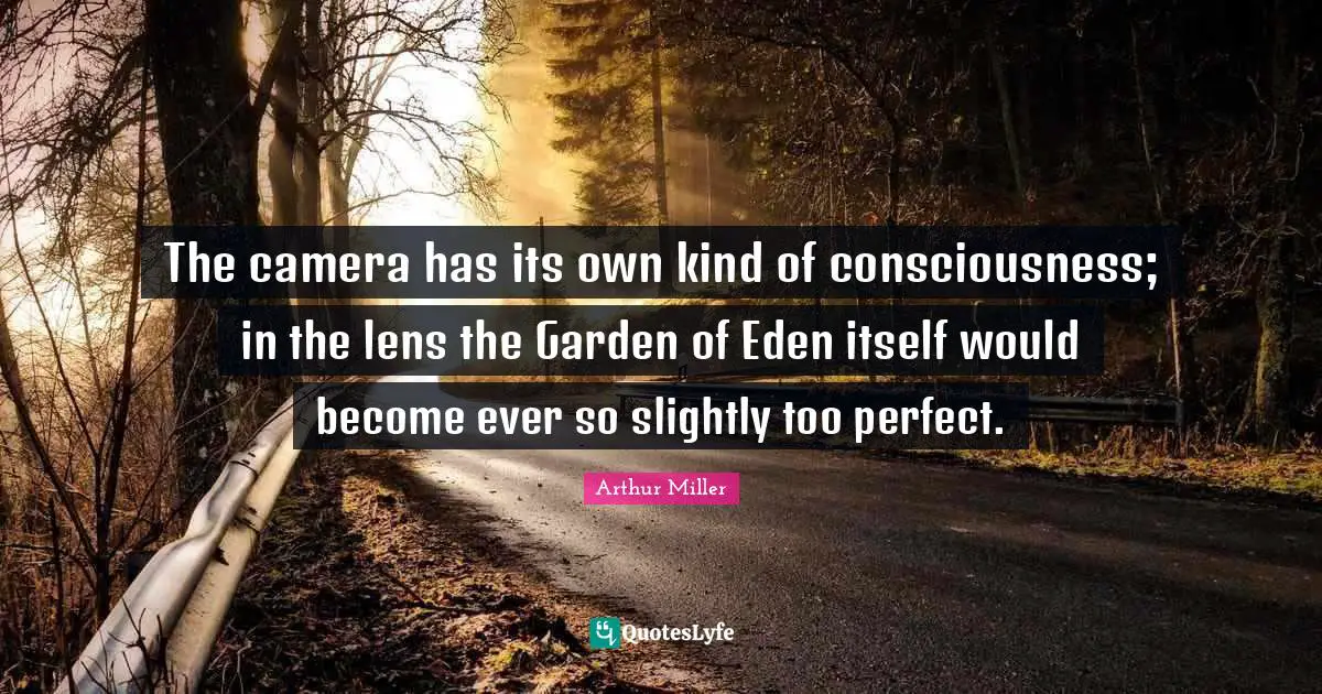 The camera has its own kind of consciousness; in the lens the Garden of Eden itself would become ever so slightly too perfect.
