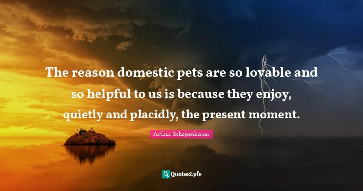The reason domestic pets are so lovable and so helpful to us is because they enjoy, quietly and placidly, the present moment.