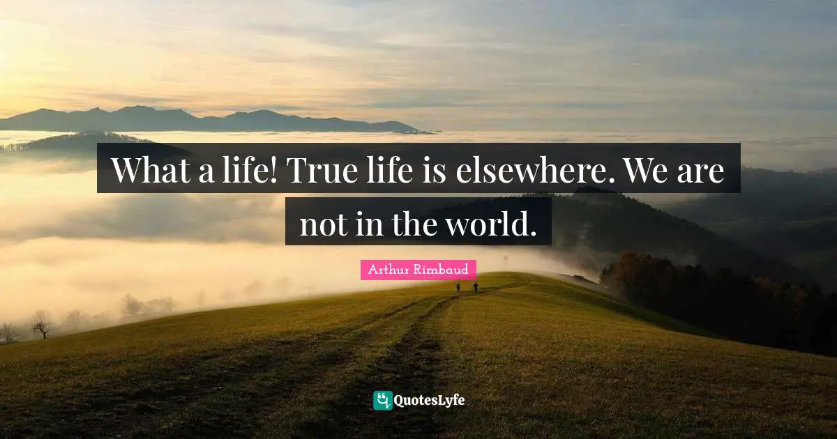 Arthur Rimbaud Quotes: "What a life! True life is elsewhere. We are not in the world."
