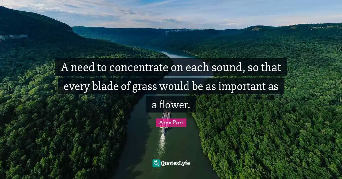 A need to concentrate on each sound, so that every blade of grass would be as important as a flower.