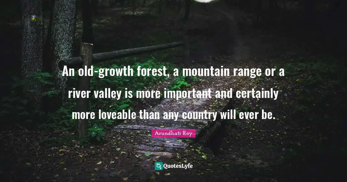 Mountain Ranges Quotes: "An old-growth forest, a mountain range or a river valley is more important and certainly more loveable than any country will ever be."