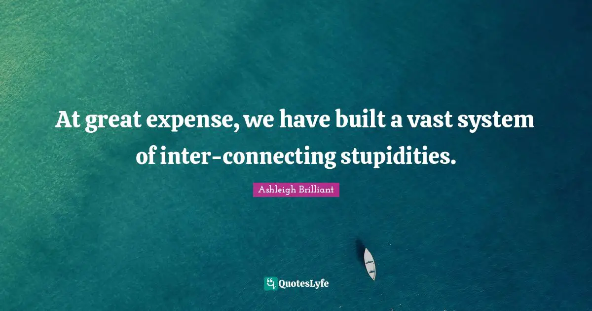 At great expense, we have built a vast system of inter-connecting stupidities.