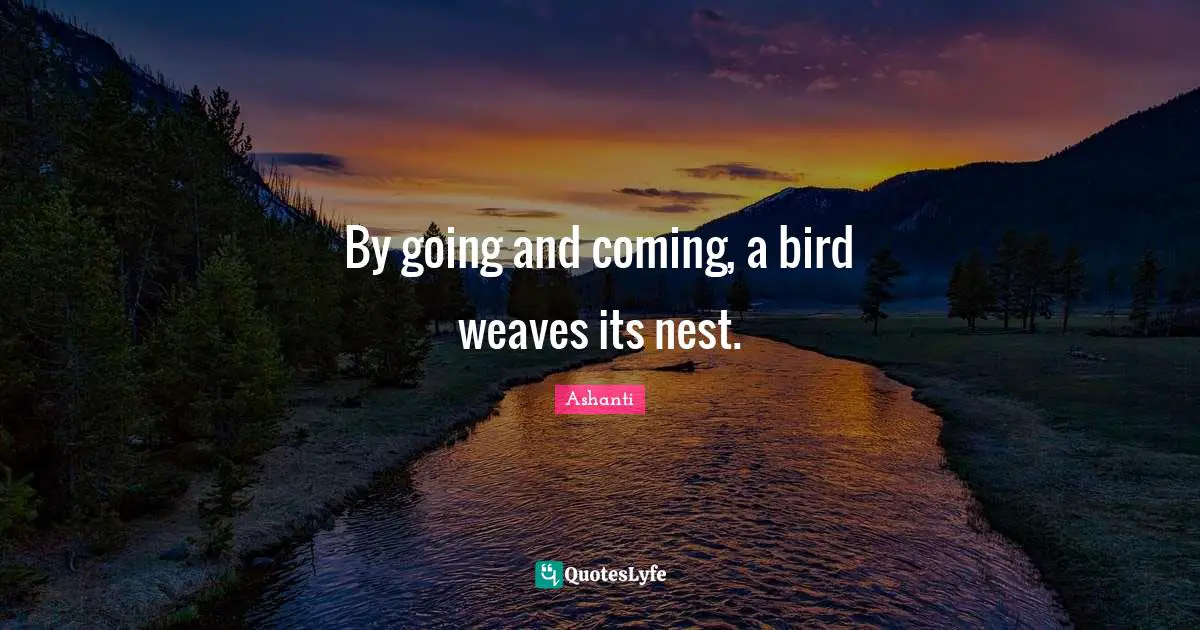 Nests Quotes: "By going and coming, a bird weaves its nest."