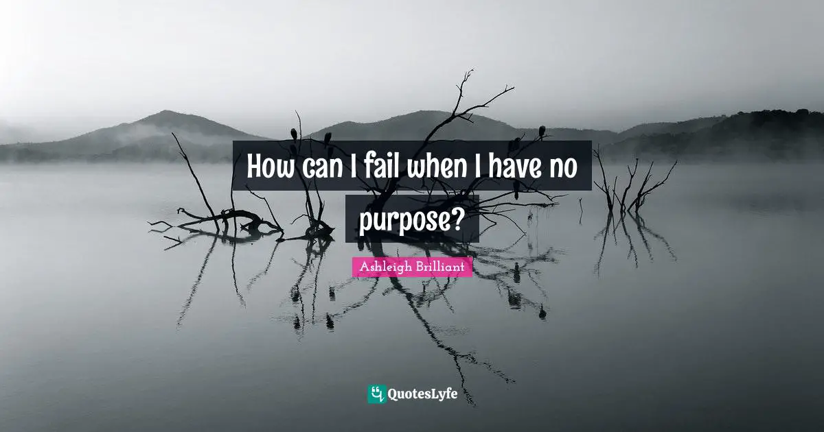 How can I fail when I have no purpose?