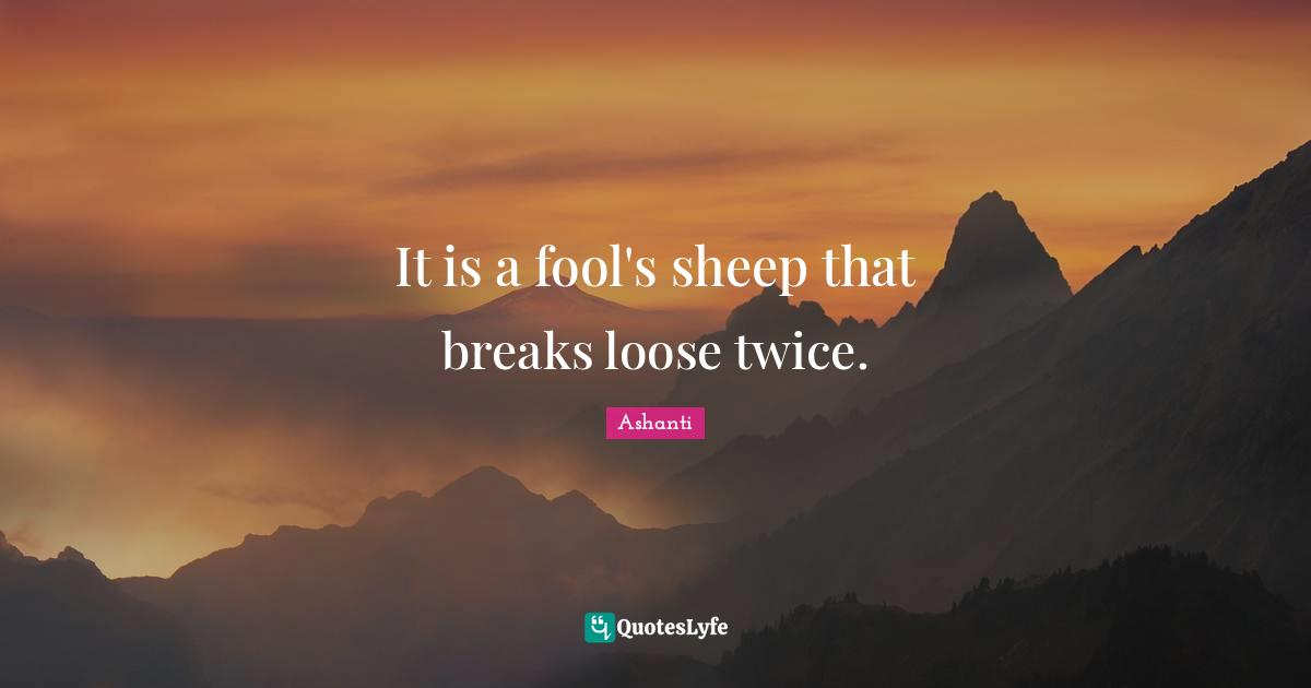 It is a fool's sheep that breaks loose twice.