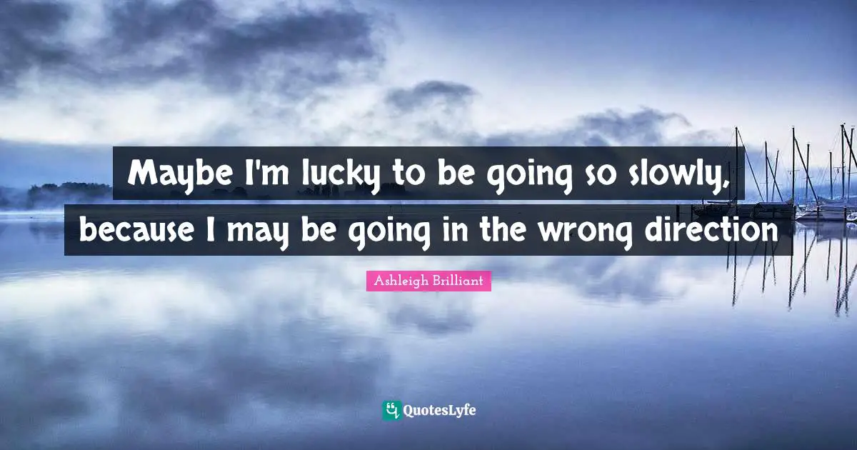 Maybe I'm lucky to be going so slowly, because I may be going in the wrong direction