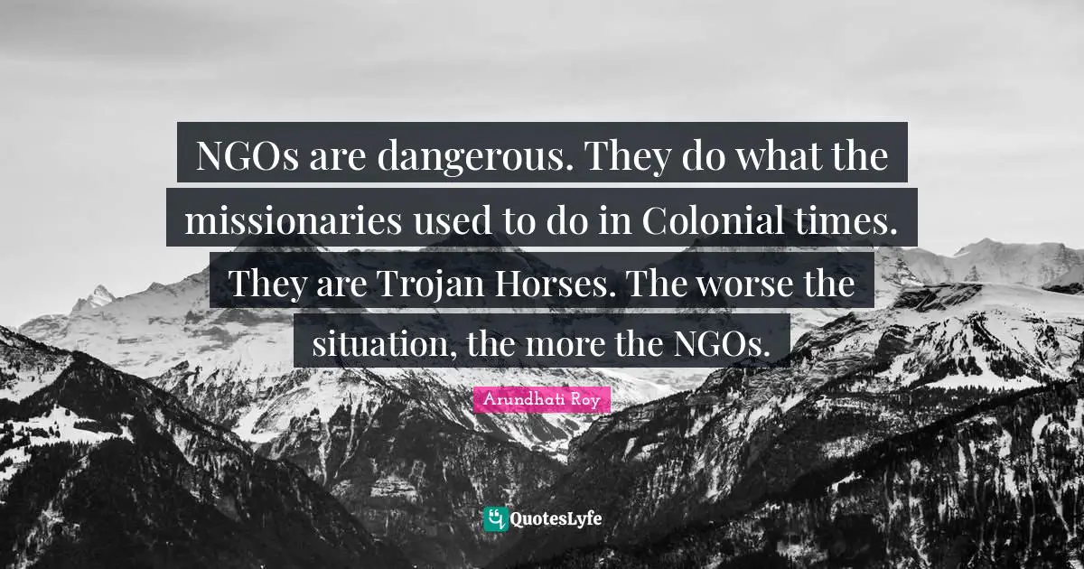NGOs are dangerous. They do what the missionaries used to do in Colonial times. They are Trojan Horses. The worse the situation, the more the NGOs.