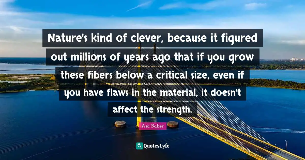 Nature's kind of clever, because it figured out millions of years ago that if you grow these fibers below a critical size, even if you have flaws in the material, it doesn't affect the strength.