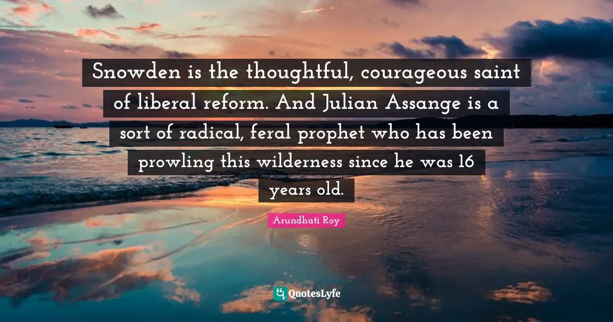 Snowden is the thoughtful, courageous saint of liberal reform. And Julian Assange is a sort of radical, feral prophet who has been prowling this wilderness since he was 16 years old.