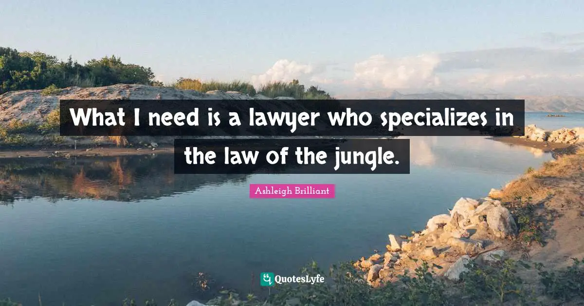 What I need is a lawyer who specializes in the law of the jungle.