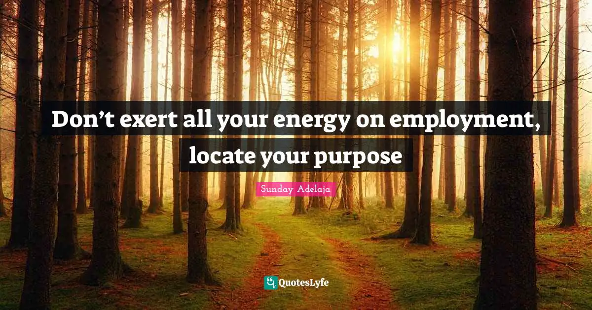 Don’t exert all your energy on employment, locate your purpose