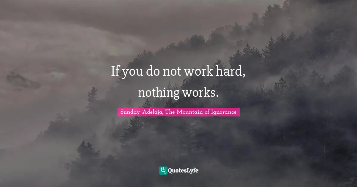 Sunday Adelaja, The Mountain of Ignorance Quotes: If you do not work hard, nothing works.