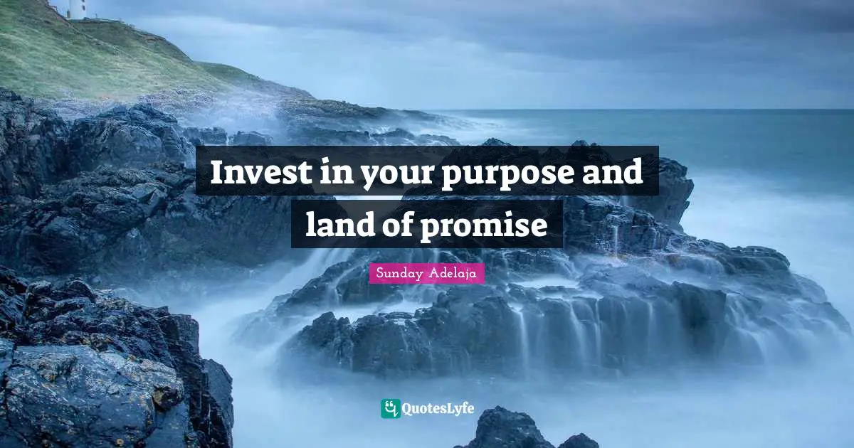 Invest in your purpose and land of promise