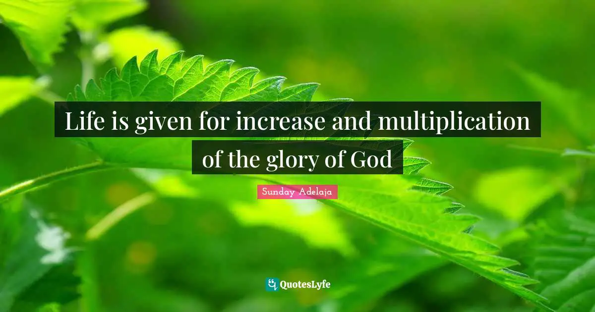 Life is given for increase and multiplication of the glory of God