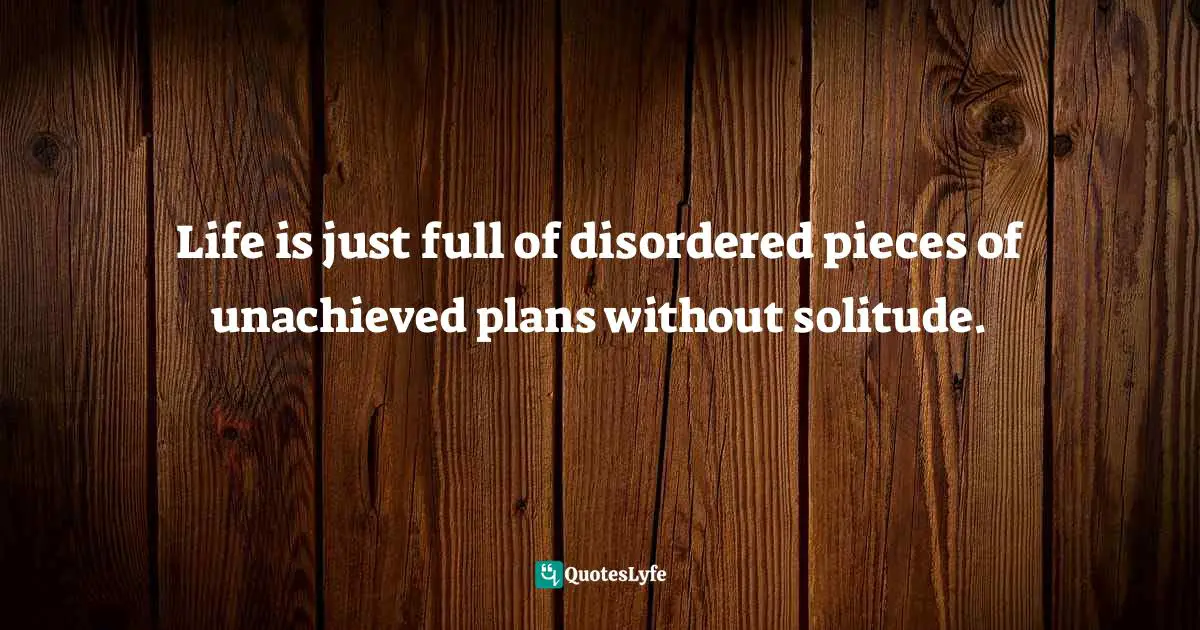 Life is just full of disordered pieces of unachieved plans without solitude.