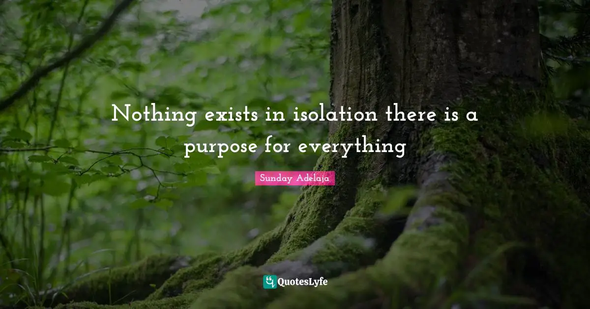 Nothing exists in isolation there is a purpose for everything