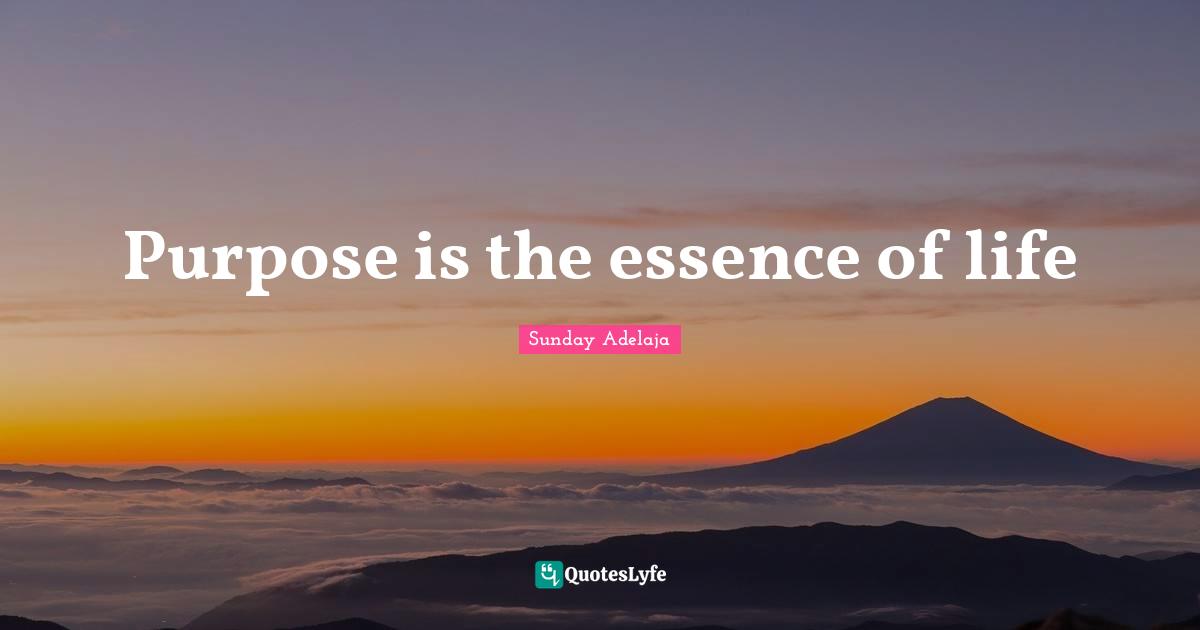Purpose is the essence of life