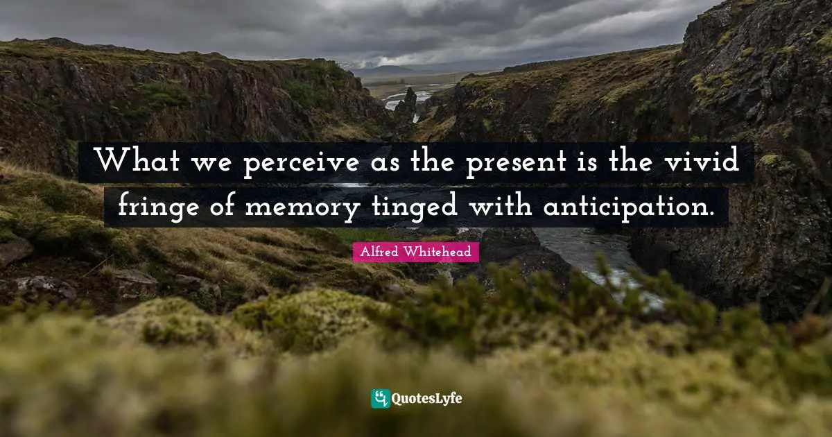What we perceive as the present is the vivid fringe of memory tinged with anticipation.
