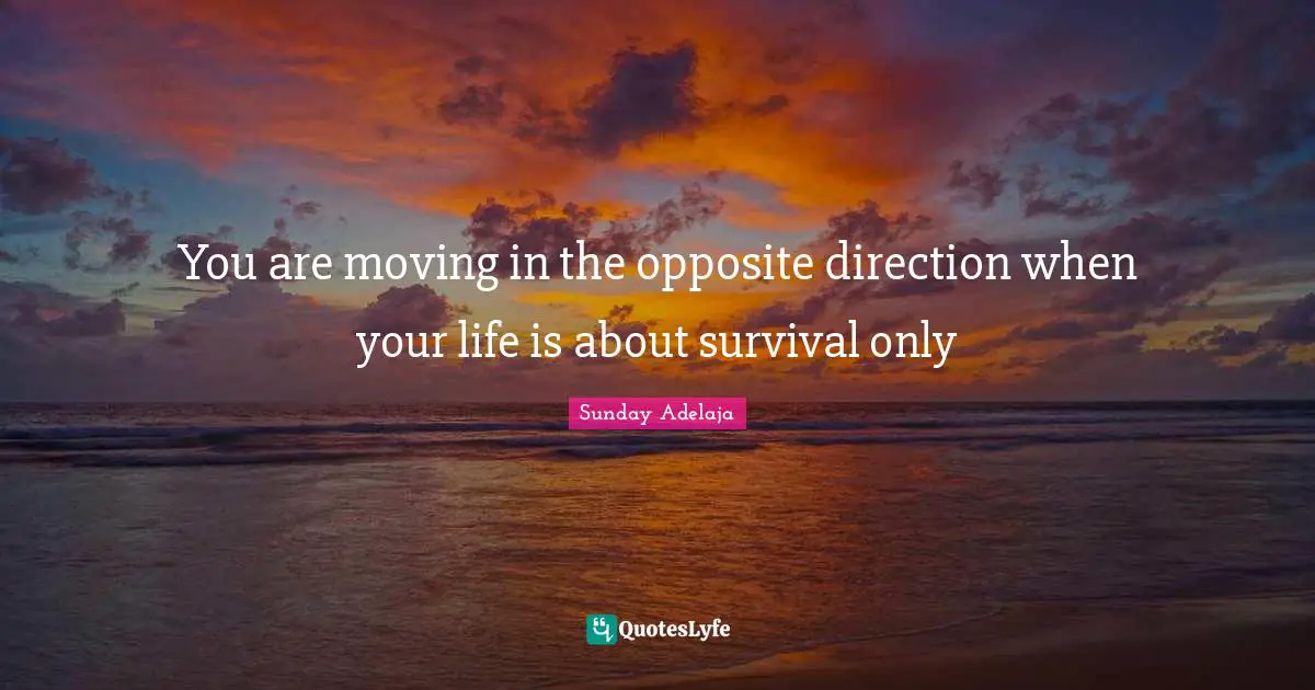 You are moving in the opposite direction when your life is about survival only
