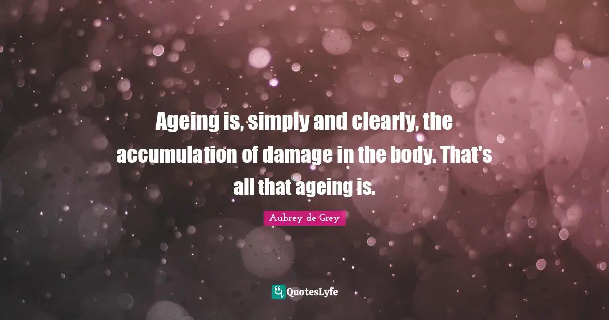 Aubrey De Grey Quotes: "Ageing is, simply and clearly, the accumulation of damage in the body. That's all that ageing is."