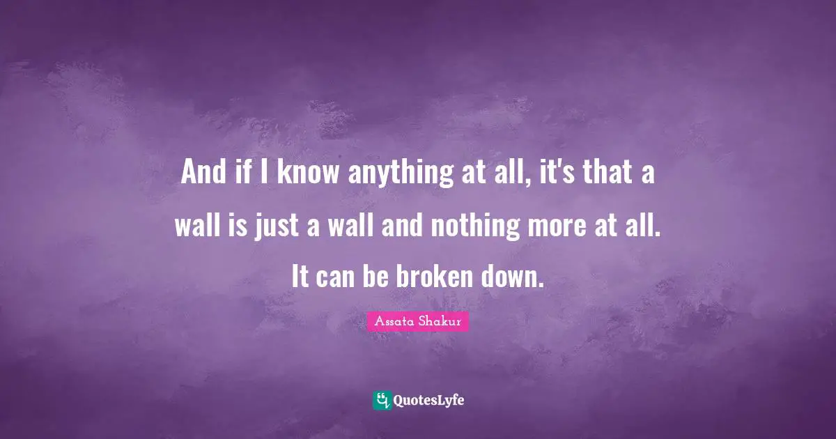 Assata Shakur Quotes: "And if I know anything at all, it's that a wall is just a wall and nothing more at all. It can be broken down."